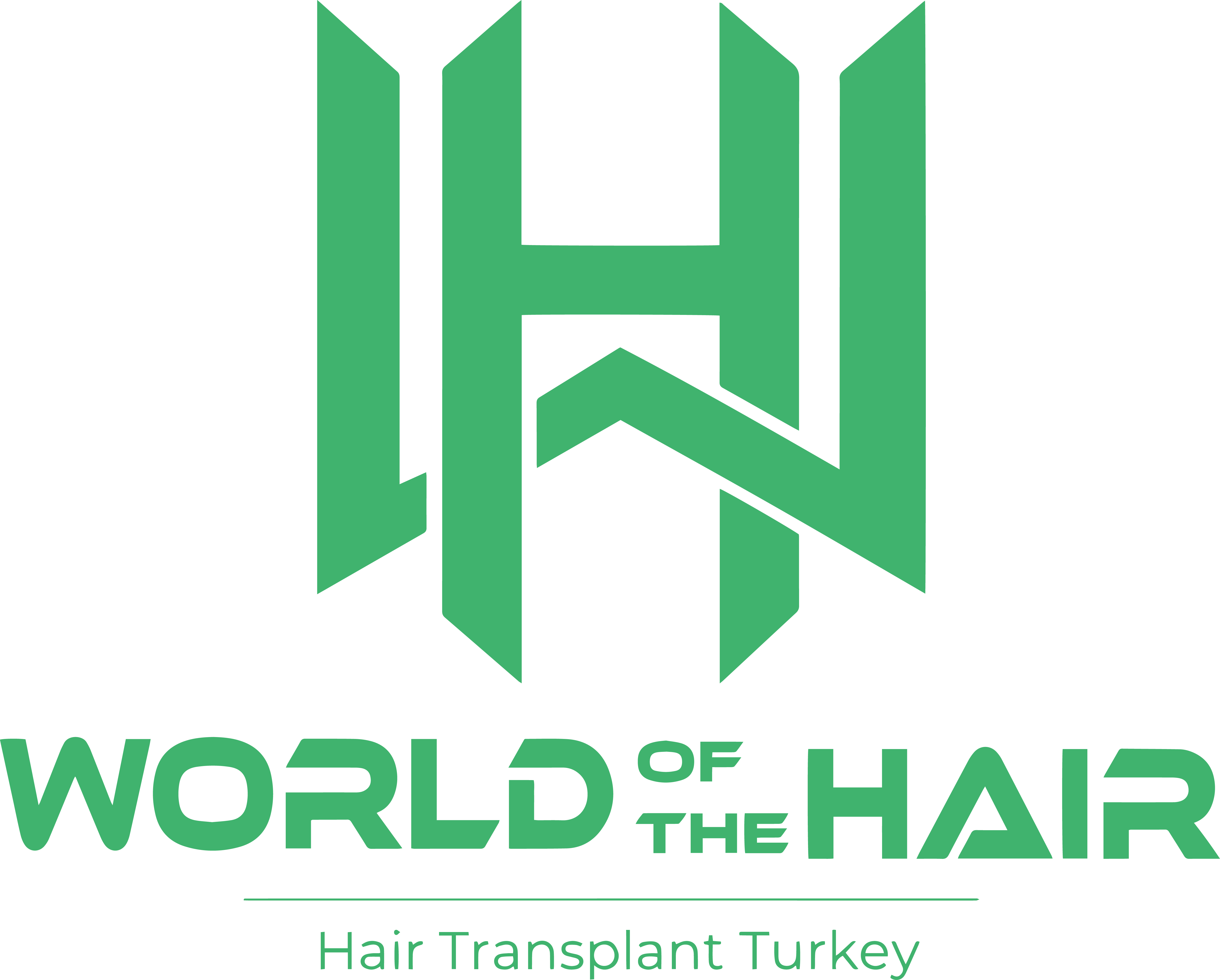 World of the Hair Logo